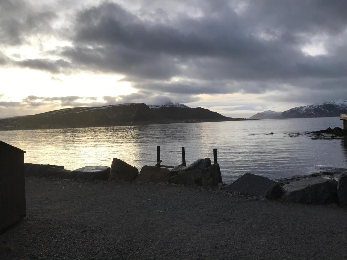 Lofoten Havfiske Leknes Buitenkant foto