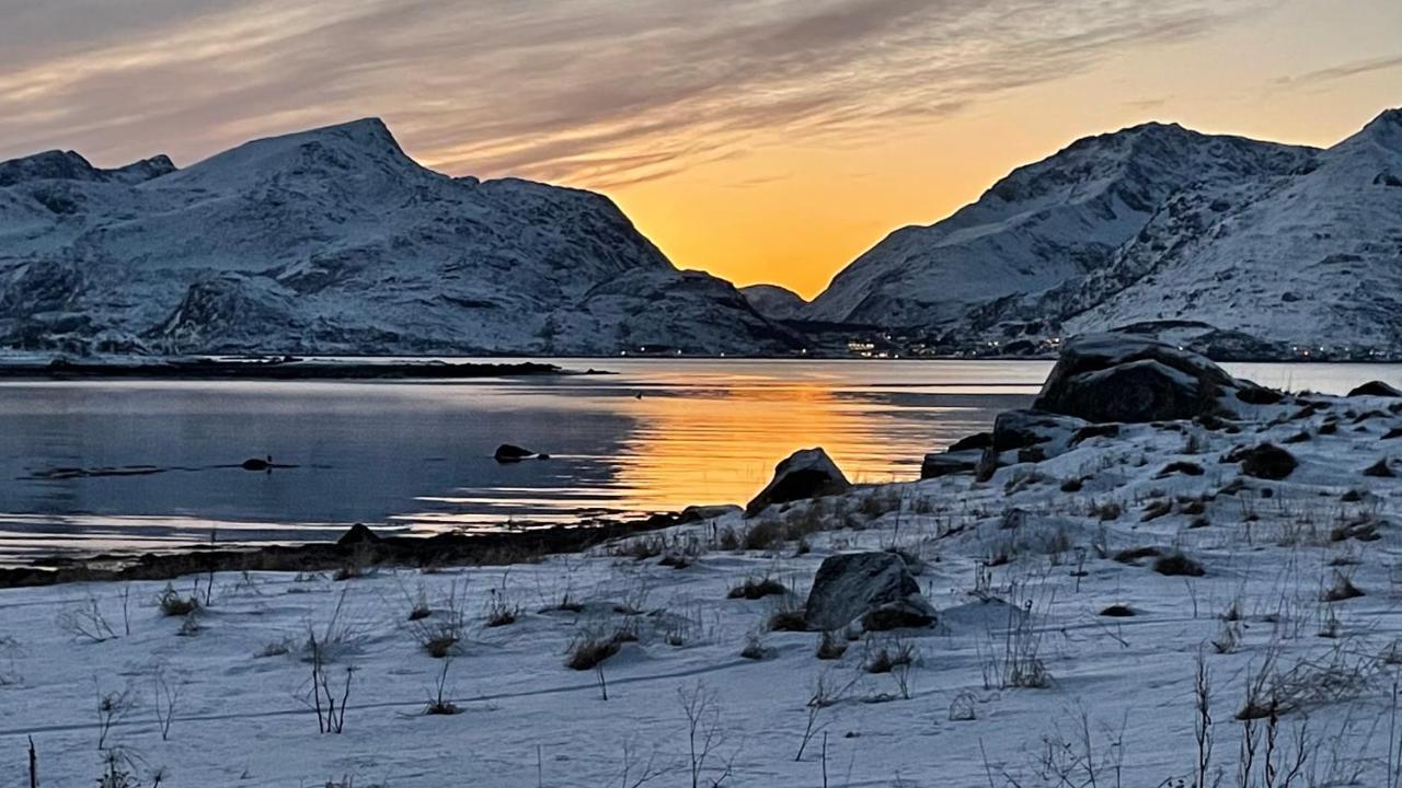 Lofoten Havfiske Leknes Buitenkant foto
