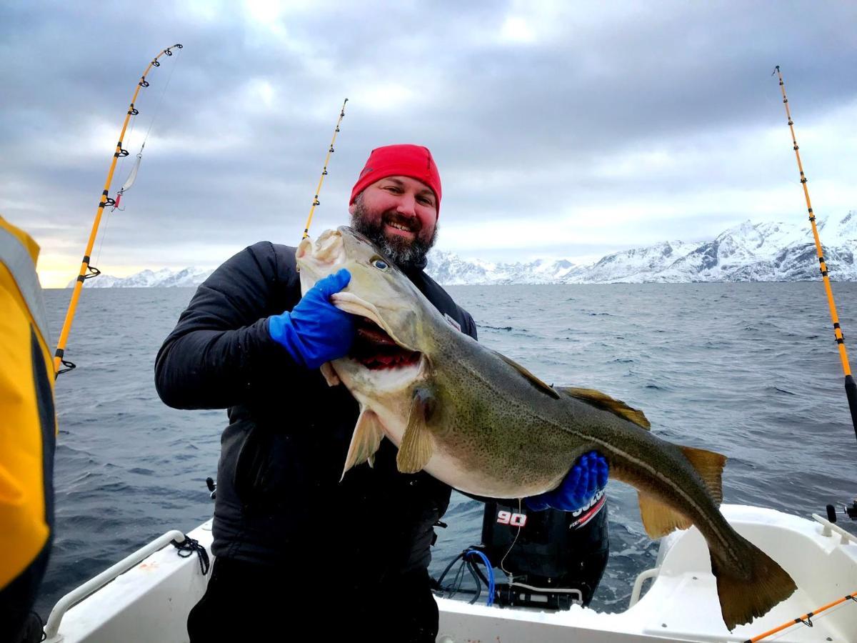 Lofoten Havfiske Leknes Buitenkant foto