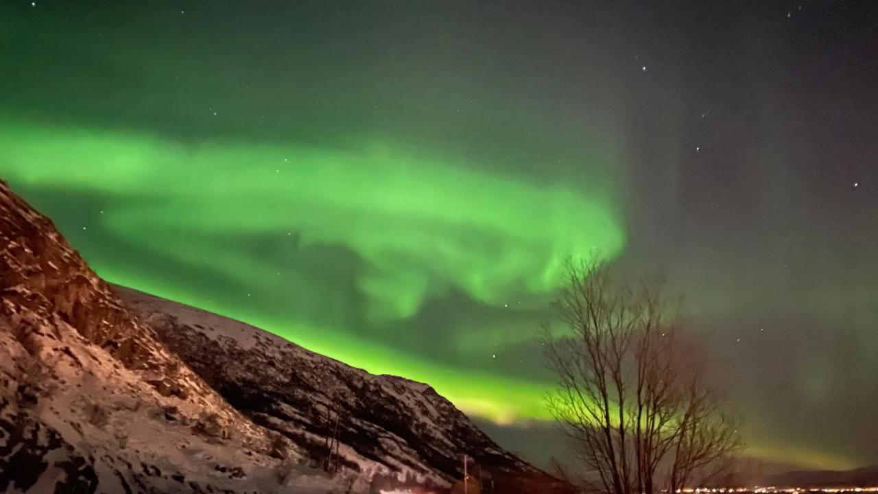 Lofoten Havfiske Leknes Buitenkant foto