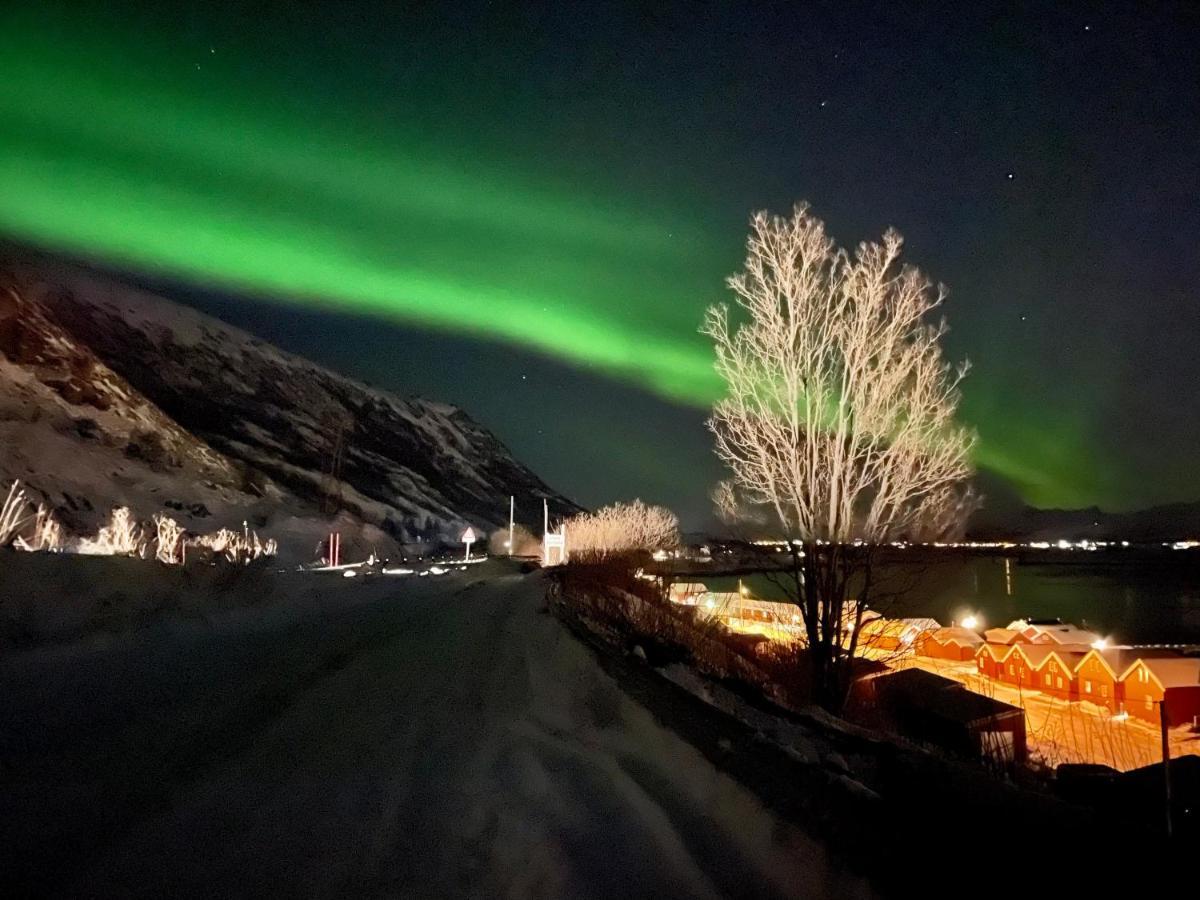 Lofoten Havfiske Leknes Buitenkant foto