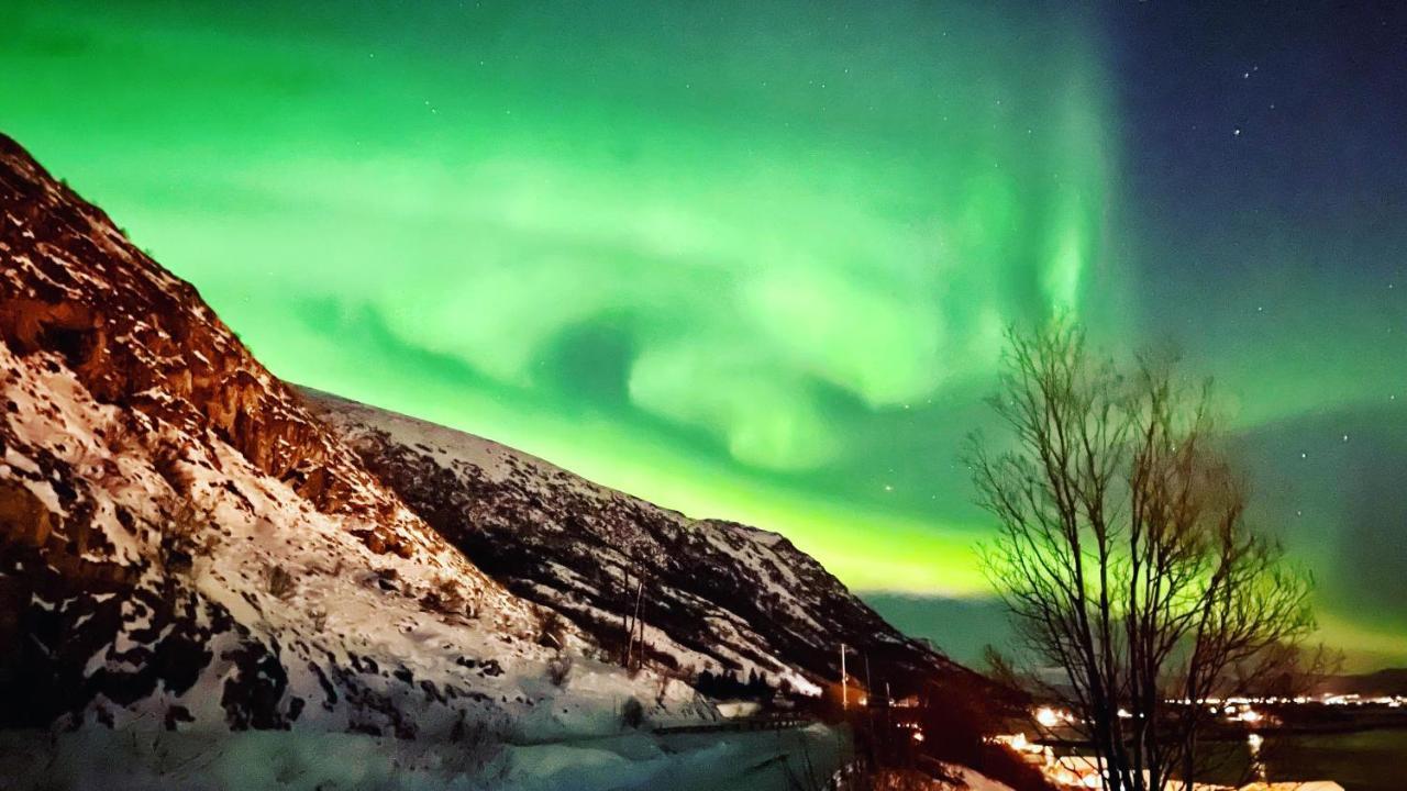 Lofoten Havfiske Leknes Buitenkant foto