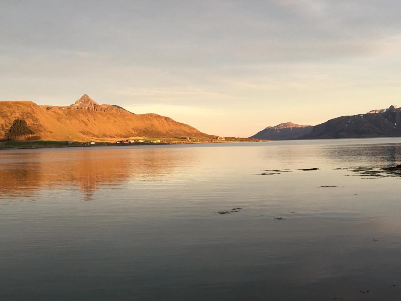 Lofoten Havfiske Leknes Buitenkant foto