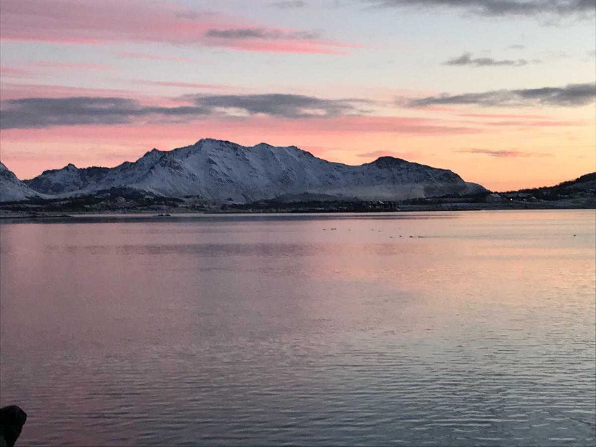 Lofoten Havfiske Leknes Buitenkant foto